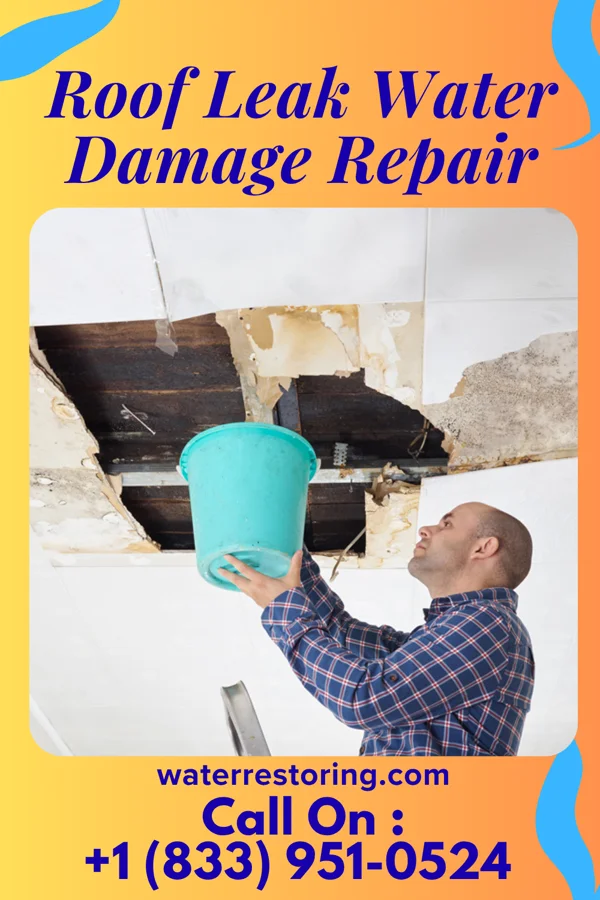 Roof Leak Water Damage Repair in Lancaster, MN